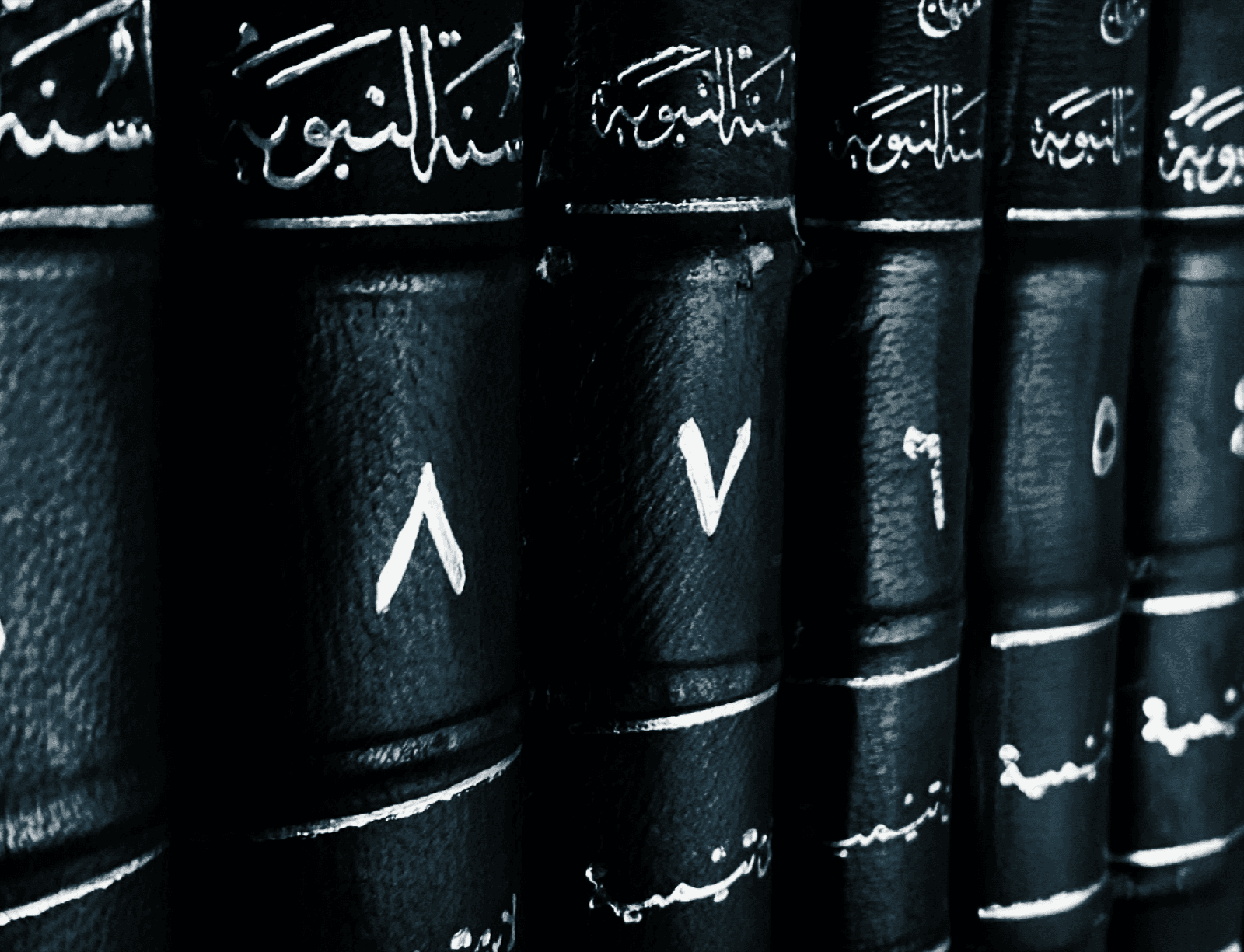 برنامج جرد كتب شيخ الإسلام